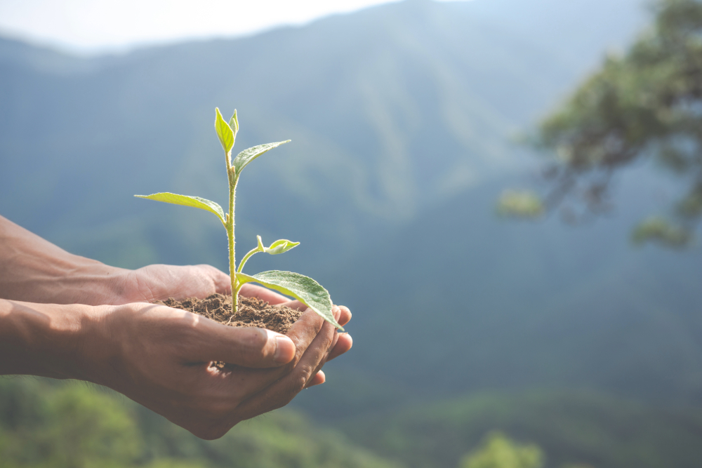 ISO 14001:2015 Sistemas de Gestión Ambiental- Estudio de la Norma [SM01]